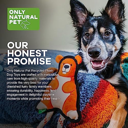 Only Natural Pet Mountain Friends Recycled Plush Dog Toys - Durable Double-Stitched Design with Internal Squeaker & Rope Tug Tail - Stuffed Toy for Dogs, Pet Toy | Beckham the Beaver, 5.5" x 11"