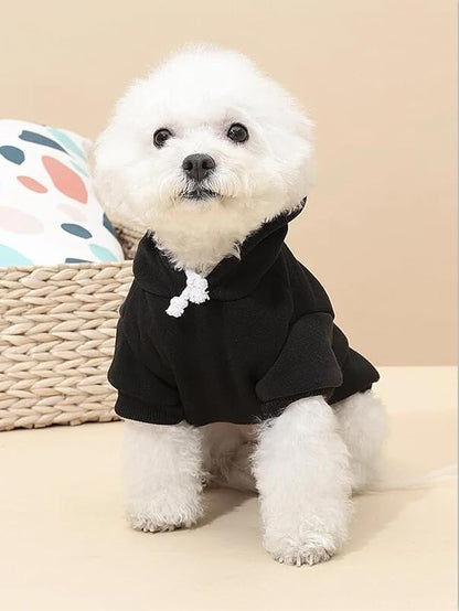 QWINEE Basic Dog Hoodie Sweatshirt Puppy Sweater Warm Cat Costumes Pet Clothes for Chihuahua Puppy Kitten Small Medium Dogs Multicolored X-Small