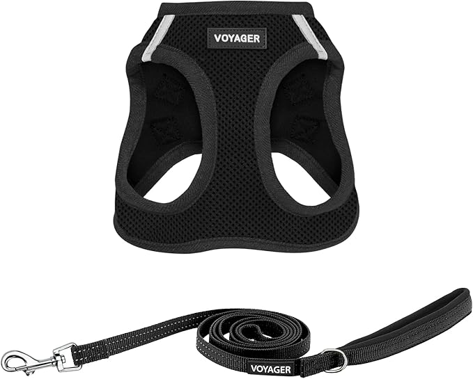 Best Pet Supplies Voyager Step-in Air All Weather Mesh Harness and Reflective Dog 5ft Leash Combo with Neoprene Handle, for Small, Medium and Large Breed Puppies - Set (Black), Large