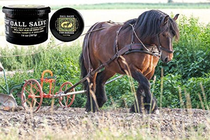 Bickmore Gall Salve Wound Cream for Horses 14oz - Quick Equine Relief of Sores, Abrasions, Cuts and Galls (Pack of 2)