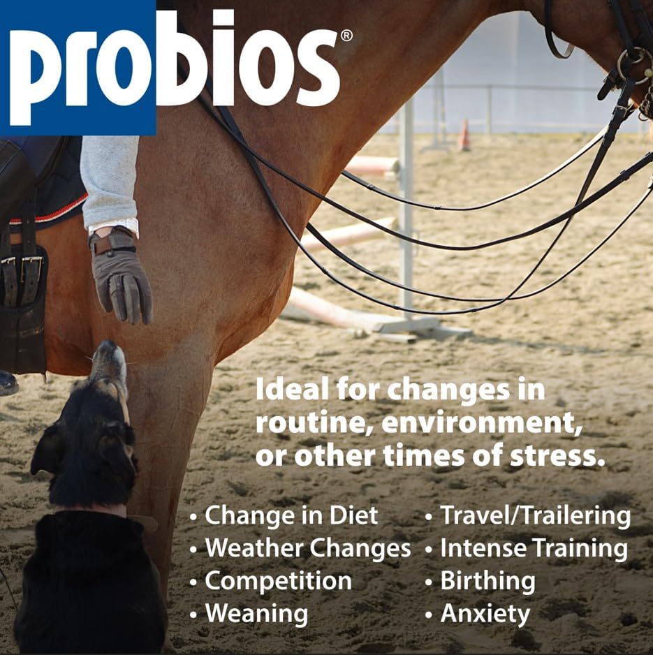 Probios Horse Probiotic Soft Chews, Apple Flavor, 1.32 lb, 2-Pack