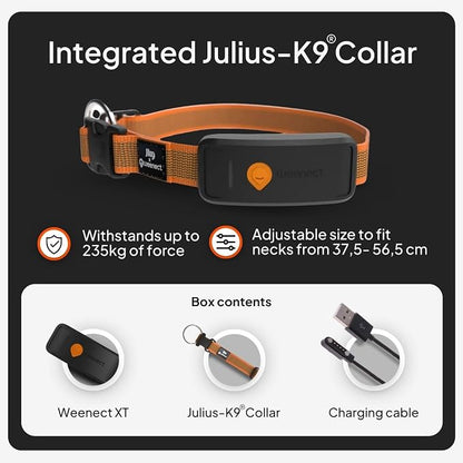 Weenect Dog XT - NEW GPS Collar for Dogs | XL Antenna | Waterproof | Ultra-Durable Integrated Julius-K9 Collar | Subscription Required