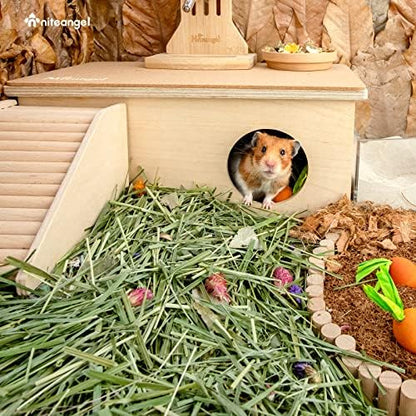 Niteangel Natural & Soft Hamster Bedding Mate: Air-Dried Flowers & Grass