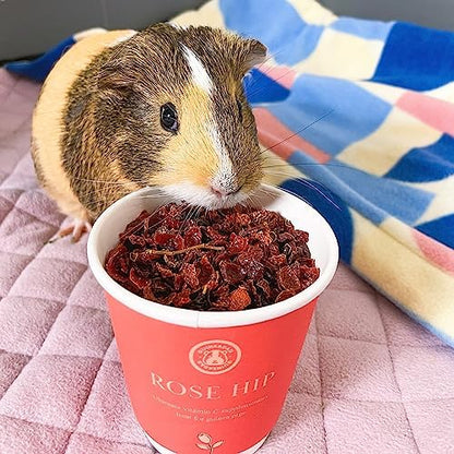 GuineaDad Organic Guinea Pig Herbal Treats - Guinea Pig Food with Convenient Packaging - Rose Hip Flavor - 10 fl. oz - Guinea Pig Treats Help with Bonding - High in Nutrition, Immune Support - Small