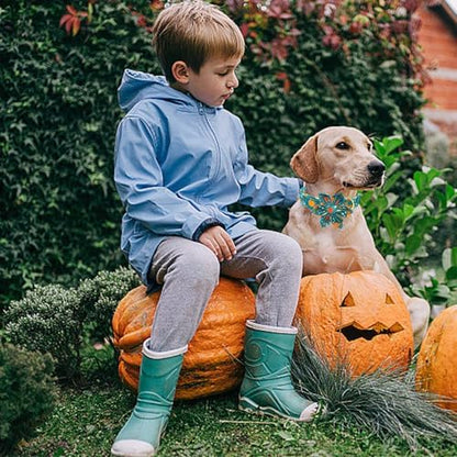 Dog Collar Autumn Green Pumpkin Print Pet Collar Fall Soft Cute Dog Collars with Flower Adjustable Metal Buckle Collar for Medium Dogs