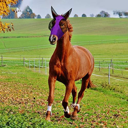 Weewooday 3 Pcs Horse Fly Mask with Ears, M, Purple,Pink,Black