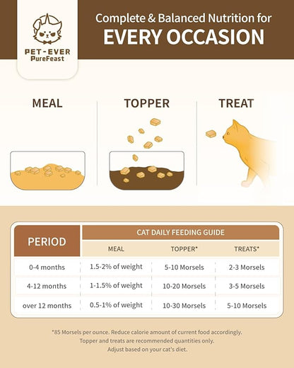 Freeze-Dried Cat Food, 97% Animal Origin Soft Dry Raw Food for Cats, High Protein Healthy Freeze Dried Cat Treat & Topper (Pork Recipe - 14 Ounce)