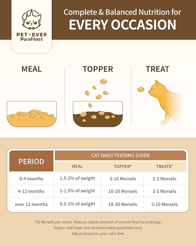 Freeze-Dried Cat Food, 97% Animal Origin Soft Dry Raw Food for Cats, High Protein Healthy Freeze Dried Cat Treat & Topper (Poultry Recipe - 14 Ounce)