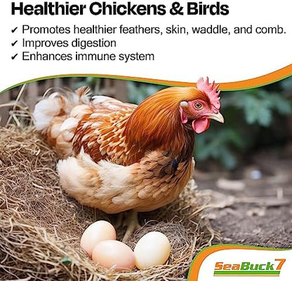 SeaBuck 7 Chicken & Bird Supplement with Sea Buckthorn, 32 Ounces