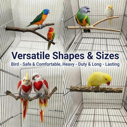 8PCS Bird Perches for Cage, Natural Wood Stands for Small Parrots