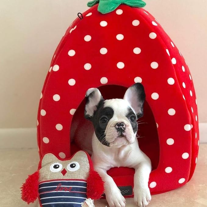 NANDOG Insta Fun Strawberry Dog & Cat Bed - Ultra Soft Micro Plush with Foam Cushioning - Cozy, Supportive & Stylish Lounger with Adorable Fruit-Inspired Design