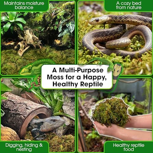 Duspro Reptile Decor Set, 10FT Bendable Vine & 4 Oz Dried Forest Moss
