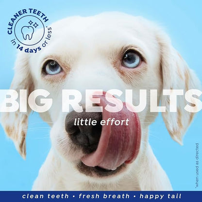 Naturél Promise Fresh Dental Breath Freshener & Teeth Cleaning Water Additive for Dogs, 18 oz Bottle