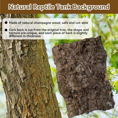 Reptile Cork Bark Substrate,1.5 LB Natural Tree Bark for Terrarium Wood Gecko Climbing Bark Bedding Bulk Habitat Decor for Bearded Dragon Spider Lizard Tarantula Hermit Crab