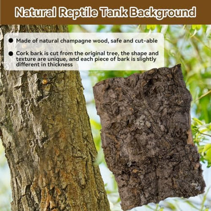Reptile Cork Bark Substrate,1.5 LB Natural Tree Bark for Terrarium Wood Gecko Climbing Bark Bedding Bulk Habitat Decor for Bearded Dragon Spider Lizard Tarantula Hermit Crab