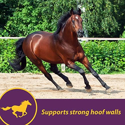 Horse Health Vita Biotin Crumbles Horse Hoof Supplement, 3 lbs