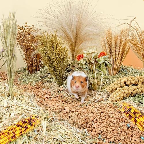 Natural Grain Flower&Herb Hamster Habitat Cage Accessories Bedding Decor