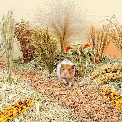Natural Grain Flower&Herb Hamster Habitat Cage Accessories Bedding Decor