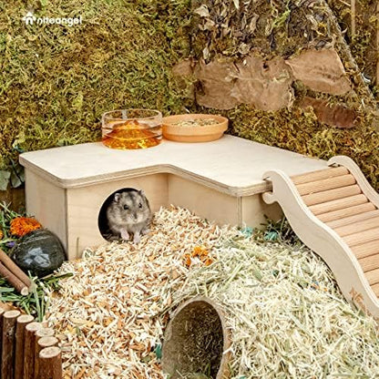 Niteangel Multi-Chamber Hamster House Maze: 1 Entrance 3 Rooms Maze Habitat