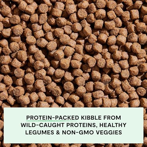Open Farm Grain Free Dry Dog Food, Wild Caught Salmon Kibble, 4lb Bag