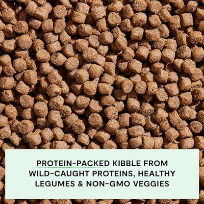 Open Farm Grain Free Dry Dog Food, Wild Caught Salmon Kibble, 4lb Bag