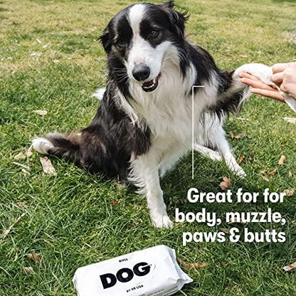 DOG by Dr. Lisa - Dog Wipes - Plant-Based, Natural Bathing Wipes for Dogs - Made from 100% Compostable Bamboo - Vet-Created - Vegan, Non-Toxic - 960 Count