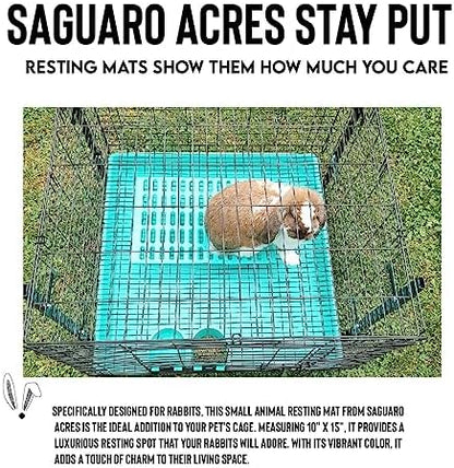 Saguaro Acres Rabbit and Small Animal Cage Resting Mat for Wire Floored Cages 2 Pack (Teal)