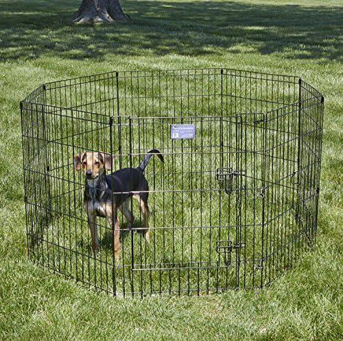 MidWest 30-Inch Exercise Pen, Single Door, 16 Sq Ft Play Area