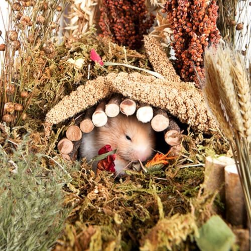 Natural Grain Flower&Herb Hamster Habitat Cage Accessories Bedding Decor