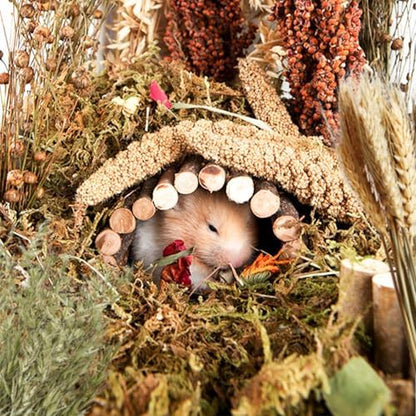 Natural Grain Flower&Herb Hamster Habitat Cage Accessories Bedding Decor