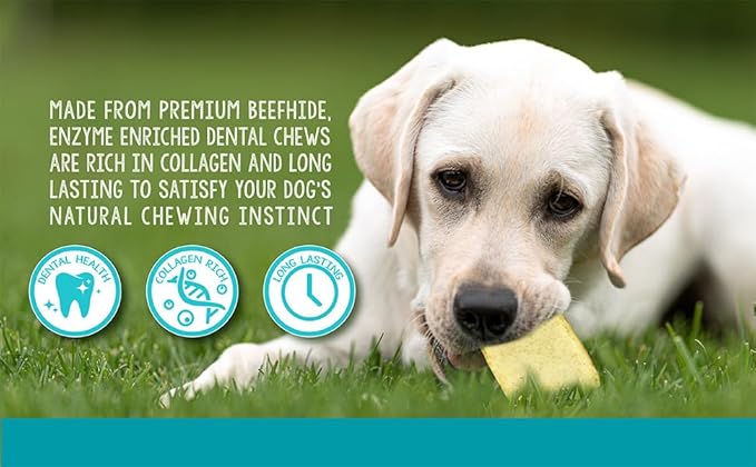 Real Hide | Enzyme Enriched Dental Care Dog Chews | for Medium/Large Dogs | 12.8 oz