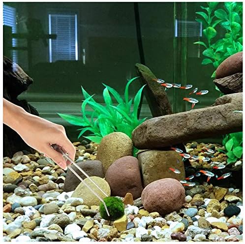 3 in 1 Aquarium Aquascape Tools Kit Long Stainless Steel Aquarium Tank Aquatic Plant Tweezers Scissors Tools