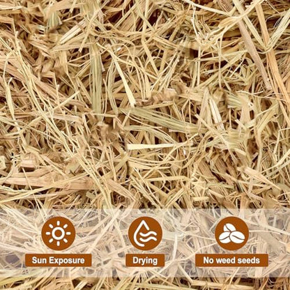 Natural Wheat Straw –1 LB Hay Bales for Decoration, Clean Dry Straw Bale