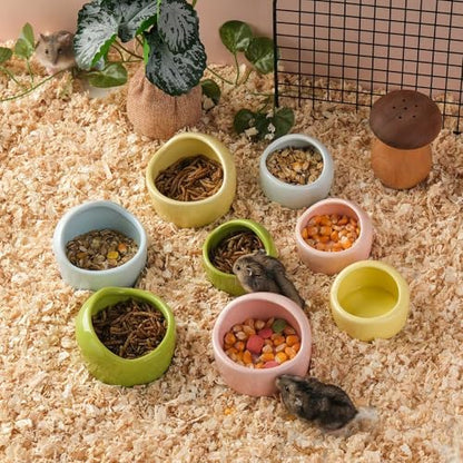 VanEnjoy 2 Pack Medium Hamster Food Bowl Ceramic Guinea Pig Food Dish No Spill Hamster Food and Water Bowl Small Animal Food Bowl - Pink and Blue