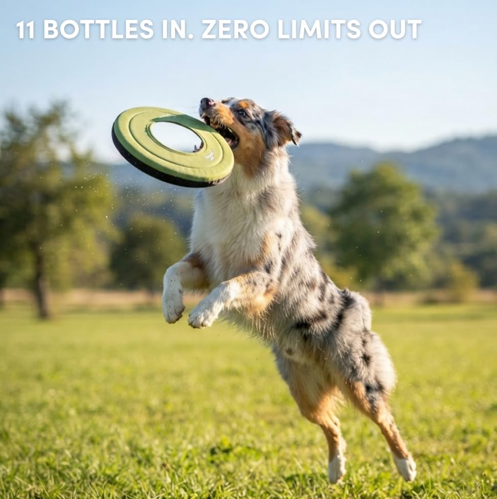 OllyDog Mini Super Flyer, Dog Flying Disc – Floating Fetch Toy, Soft on Teeth, Eco-Friendly Recycled Material, Lightweight, for Small & Medium Dogs (Palm, 9")