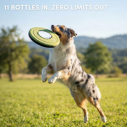 OllyDog Mini Super Flyer, Dog Flying Disc – Floating Fetch Toy, Soft on Teeth, Eco-Friendly Recycled Material, Lightweight, for Small & Medium Dogs (Palm, 9")