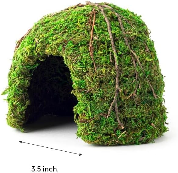 Galapagos (05366 Mossy Dome Hide, 6 in, Galápagos Green
