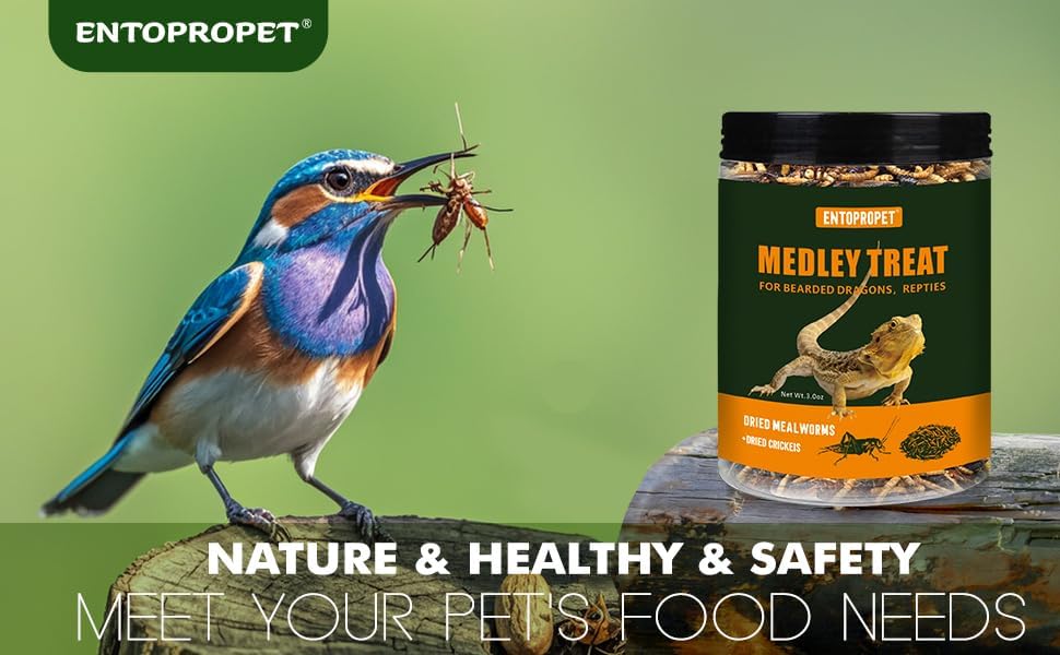 Dried Mealworms & Crickets Medley Treat for Bearded Dragons 5oz