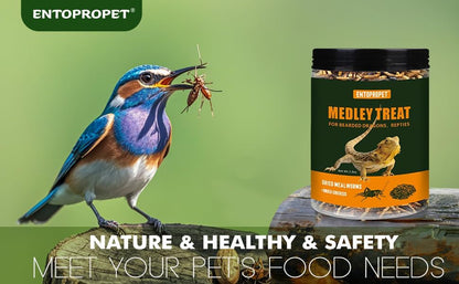 Dried Mealworms & Crickets Medley Treat for Bearded Dragons 5oz