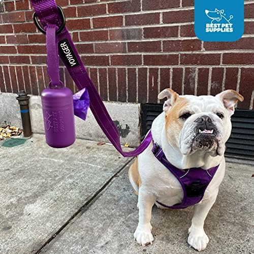 Best Pet Supplies Dog Poop Bag Holder Leash Attachment with Reusable Dispenser for Travel, Walking, Park, and Outdoor Use, Durable with Clip-On - Pink, Pack of 2, Plastic Dispenser w/30 Bags