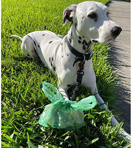 BioBag Premium Pet Waste Bags, Great for All Dog Breeds, Fits in Standard Park Dispensers
