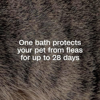 ADAMS Plus Flea & Tick Shampoo with Precor for Dogs, 24 Ounces