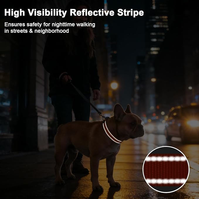 Taglory AirTag Dog Collar with Waterproof Holder for Large Dogs, Orange, XL | Reflective for Night Walks & Low-Light Safety, Track Your Pup Peace of Mind, Adjustable Soft Padded, No More Dangling Tags