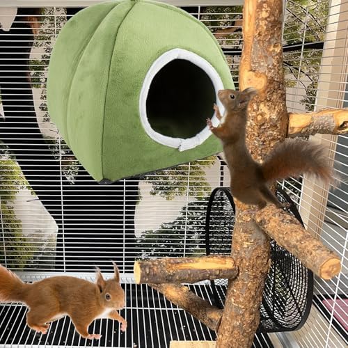 Squirrel Hideout Nest, Washable Bed & Hideaway House