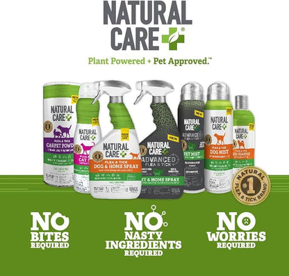 Natural Care Flea and Tick Dog Shampoo - Flea & Tick Treatment for Dogs - Flea & Tick Killer with Certified Natural Oils - 12 Fluid Ounces