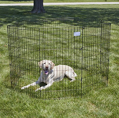 MidWest 42-Inch Exercise Pen, No Door, 16 Sq Ft Play Area