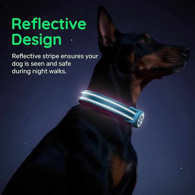 Airtag Dog Collar, Reflective Ultra-Durable Nylon Padded with QR Code Buckle & IP68 Waterproof Air Tag Holder Compatible for Apple AirTag, Comfortable for Small Medium Large Dogs(Blue,L)