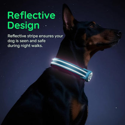 Airtag Dog Collar, Reflective Ultra-Durable Nylon Padded with QR Code Buckle & IP68 Waterproof Air Tag Holder Compatible for Apple AirTag, Comfortable for Small Medium Large Dogs(Blue,S)