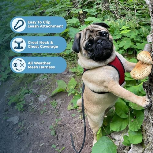 Best Pet Supplies Voyager Step-in Air All Weather Mesh Harness and Reflective Dog 5ft Leash Combo with Neoprene Handle, for Small, Medium and Large Breed Puppies - Red/Black Trim, Large