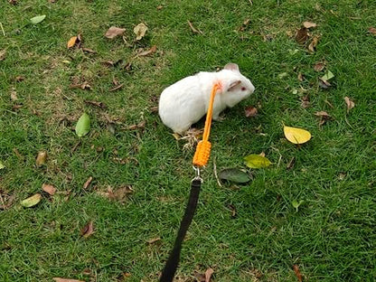 Handmade Figure 8 Harness and Leash for Ferrets/Guinea Pigs/Rats